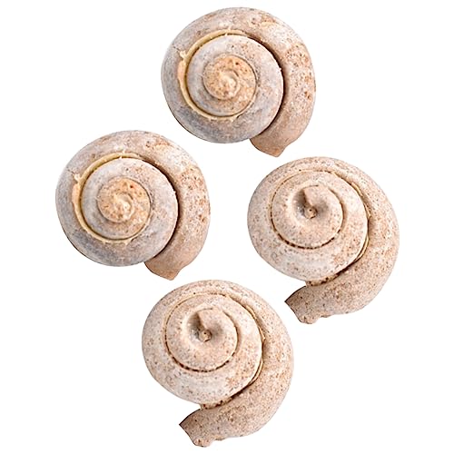 SOLUSTRE 1 Satz Schneckenfossil Dinosaurierknochen Aufkleber Lebewesen Sichter Sieb Wissenschaft Tiere Schneckenschmuck Pädagogisches Desktop-ornament 4 Stück von SOLUSTRE
