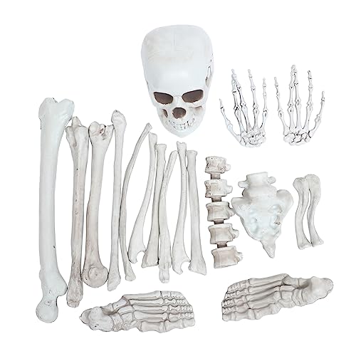 SOLUSTRE 1 Satz Simuliertes Skelett Knochen Halloween-requisiten Animatronik Stamm Skelettbärenfigur Horror Skelettmaske Halloween-skelette Party Figuren Dinosaurier Grube Plastik SOLUSTRE 1 Satz Simuliertes Skelett Knochen Halloween-requisiten Animatronik Stamm Skelettbärenfigur Horror Skelettmaske Halloween-skelette Party Figuren Dinosaurier Grube Plastik von SOLUSTRE