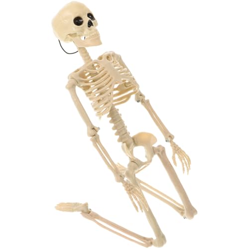 SOLUSTRE 1 Stück Simuliertes Skeleton Modell Lustige Skeleton Handwerk Halloween Layout Weiß SOLUSTRE 1 Stück Simuliertes Skeleton Modell Lustige Skeleton Handwerk Halloween Layout Weiß von SOLUSTRE
