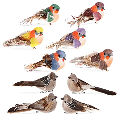 SOLUSTRE 10 Stück Teiliges Künstliche Hartschaumvögel mit Clip Realistische Simulation Bunte Dekovögel zum Befestigen für Baumdeko Wohnraumgestaltung und Fotografie Requisiten SOLUSTRE 10 Stück Teiliges Künstliche Hartschaumvögel mit Clip Realistische Simulation Bunte Dekovögel zum Befestigen für Baumdeko Wohnraumgestaltung und Fotografie Requisiten von SOLUSTRE