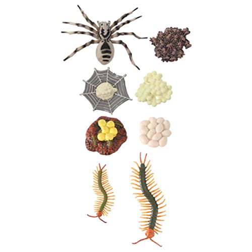 SOLUSTRE 2 Sätze Wachstumszyklus Lebenszyklus Von Safariologische Amphibienfiguren Spinnenfiguren Lebenszykluszahlen Tiere Lernspielzeug Froschspielzeug Kind Spielzeugset Künstlich Plastik von SOLUSTRE