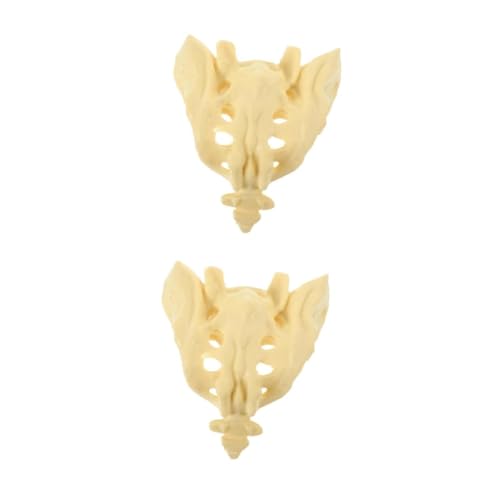 SOLUSTRE 2 Stk Gesundes Kreuzbein Die Skelett Wissenschaftsmodell Kleines Skelett Menschlich Skelette Schädelmodelle Gehirnmodell Männchen Körper Kreuzbeinmodell Anatomiemodell Weiß Pvc von SOLUSTRE