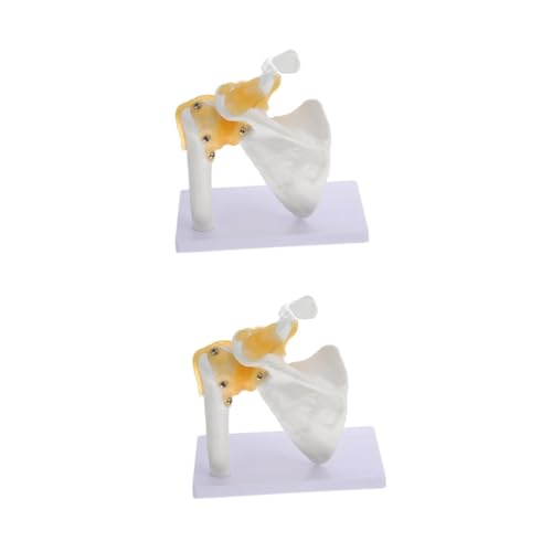 SOLUSTRE 2 Stk Schultermodell Menschlich Anatomiemodell Ärmel Gemeinsames Modell Skelett Modell Der Schulteranatomie Körper Unterarm Anatomie-poster Knochenmodell Schultergelenkmodell Pvc von SOLUSTRE