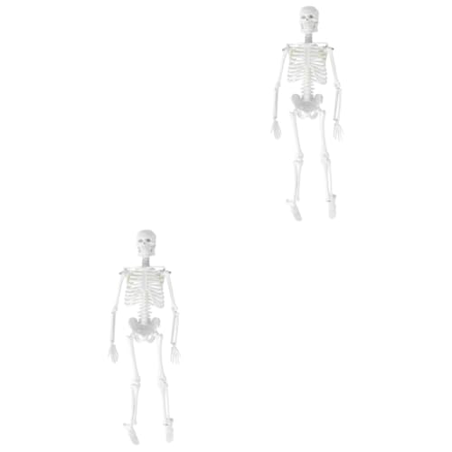 SOLUSTRE 2st Anatomiemodell Modell Des Menschlichen Körpers Anatomisches Studienmodell Modelle Menschlicher Körper Skelett von SOLUSTRE