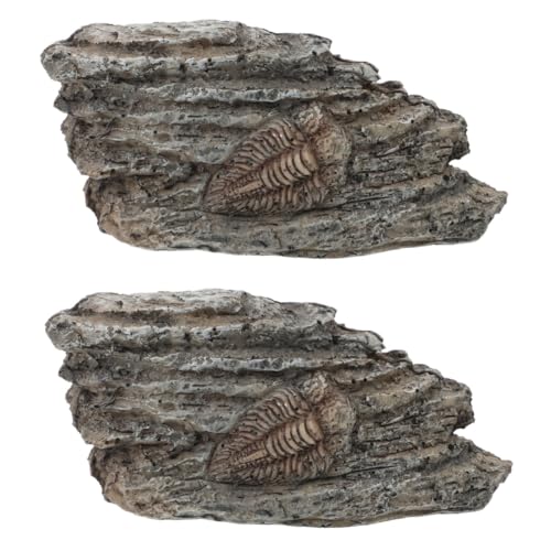 SOLUSTRE 2St fossiles Exemplar sammeltassen Schildkröte Treibholz für Aquarien Aquarium Gecko mit Haube im Freien Trilobit-Dekoration Trilobit zur Dekoration Trilobiten-Exemplardekor Harz von SOLUSTRE