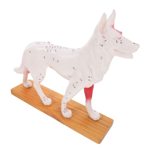 SOLUSTRE 2st Akupunkturpunktmodell Für Hunde Plüsch Hund Realistischer Hund 4d-anatomiemodell Für Hunde Modell Anatomie Tierische Hundemodelle Haustier Hundeanatomiemodell Pvc SOLUSTRE 2st Akupunkturpunktmodell Für Hunde Plüsch Hund Realistischer Hund 4d-anatomiemodell Für Hunde Modell Anatomie Tierische Hundemodelle Haustier Hundeanatomiemodell Pvc von SOLUSTRE