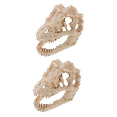 SOLUSTRE 2st Reptilien-dinosaurier-schädelmodell Aus Harz Menschliches Skelett Geist Schädelverzierung Figur Gefälscht Dinosaurier-schlafzimmerzubehör Netz Halloween-partydekoration Kiefer SOLUSTRE 2st Reptilien-dinosaurier-schädelmodell Aus Harz Menschliches Skelett Geist Schädelverzierung Figur Gefälscht Dinosaurier-schlafzimmerzubehör Netz Halloween-partydekoration Kiefer von SOLUSTRE