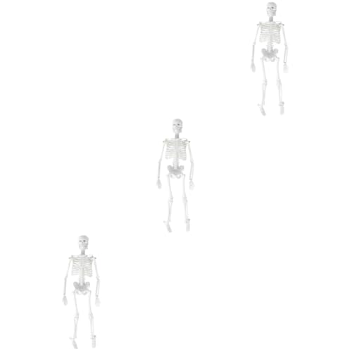 SOLUSTRE Menschliches Skelettmodell 3st Modell Des Menschlichen Körpers Anatomiemodell Anatomisches Studienmodell Modelle Skelett Menschlicher Körper von SOLUSTRE