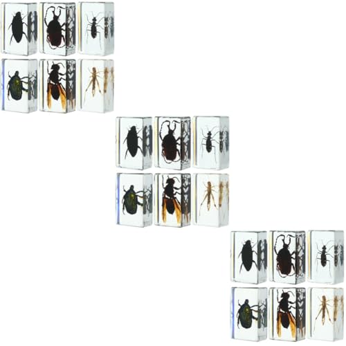 SOLUSTRE 3 Sätze Insektenexemplar Insektenbehälter Fehlerbetrachter Insektenprobe Insektenfänger Für Bug-sammler Fehler Für Insektenverzierung Harz Transparent 6 Stück * 3 von SOLUSTRE