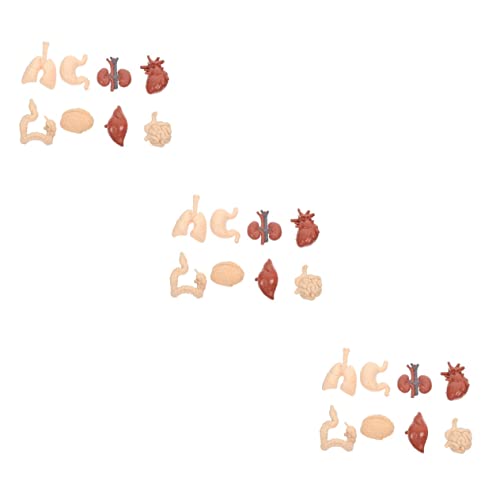 SOLUSTRE 3 Sätze Menschliches inneres Organmodell für kindergeschenke Lehrmittel schulzeug schulzubehör Anatomiebuch versteckte Figuren Lehrstütze Lehrmodell für Orgeln PVC SOLUSTRE 3 Sätze Menschliches inneres Organmodell für kindergeschenke Lehrmittel schulzeug schulzubehör Anatomiebuch versteckte Figuren Lehrstütze Lehrmodell für Orgeln PVC von SOLUSTRE