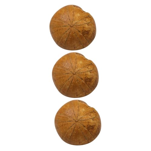 SOLUSTRE 3 Stück Seeigel Muster Ornamente Für Muster Seeigel Schmuck Dekoration Modell Schreibtisch Ornament Lehrsimulationsmodell Lehrmittel SOLUSTRE 3 Stück Seeigel Muster Ornamente Für Muster Seeigel Schmuck Dekoration Modell Schreibtisch Ornament Lehrsimulationsmodell Lehrmittel von SOLUSTRE