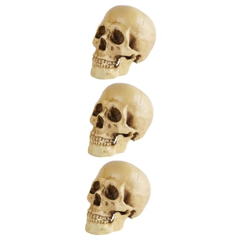 SOLUSTRE 3St Schädelmodell Produkt im Freien Gestell wild Schlüsselanhänger Hase halloween dekoration halloween-dekoration halloween decor Halloween-Party- realistischer Schädel Harz SOLUSTRE 3St Schädelmodell Produkt im Freien Gestell wild Schlüsselanhänger Hase halloween dekoration halloween-dekoration halloween decor Halloween-Party- realistischer Schädel Harz von SOLUSTRE