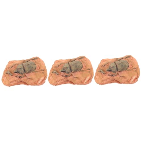SOLUSTRE 3St fossiles Exemplar wohnungseinrichtung wohnungsdeko longieren Gecko realistische Käferfigur Reptilienthermostat Schädelmodell paläontologisches Exemplar für Dekoration von SOLUSTRE
