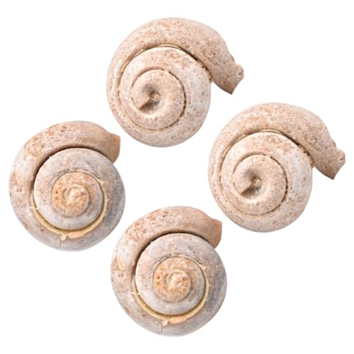 SOLUSTRE 4 Stücke Für Jungen Und Mädchen Pädagogisches Spielzeug Schnecke Schmuck Simulation Modell Desktop Ornament von SOLUSTRE