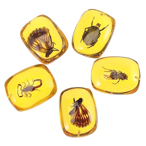 SOLUSTRE 5 Sätze Schmuck Dekorative Anhänger Bernstein Muster Anhänger Schlüsselanhänger-hängeornament Schmuckherstellung Ohrringanhänger Anhänger Charme Exemplar Anhänger Harz. 5 Stück * 5 von SOLUSTRE