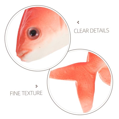 SOLUSTRE 5 Stück Realistische PU Fischmodelle Teiliges Interaktives Meerestier zur Marinen Tiererkennung Detailgetreue Simulation Vielseitig als Dekoration Lernspielzeug von SOLUSTRE