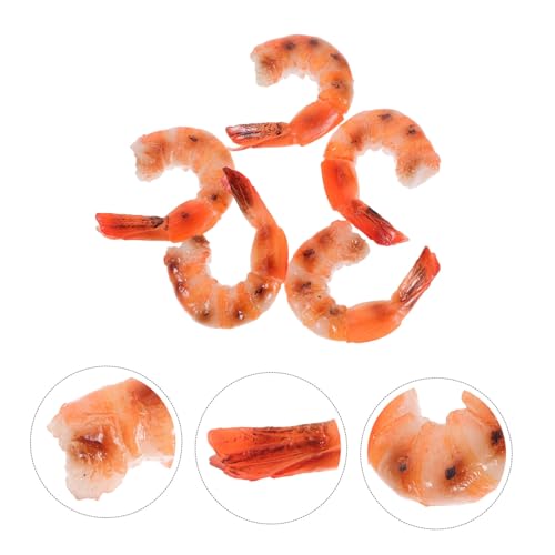 SOLUSTRE 5 Stück Teiliges Künstliche Gekochte Garnelen aus Langlebigem PVC Realistische Seafood Deko für Küche Restaurant Supermarkt Party Vielseitige Fotorequisiten Wiederverwendbar und SOLUSTRE 5 Stück Teiliges Künstliche Gekochte Garnelen aus Langlebigem PVC Realistische Seafood Deko für Küche Restaurant Supermarkt Party Vielseitige Fotorequisiten Wiederverwendbar und von SOLUSTRE