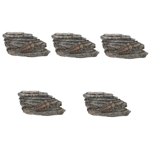 SOLUSTRE 5St fossiles Exemplar Gecko Schildkröte im Freien Aquarium Reptil mit Haube sammeltassen paläontologisch Trilobit zur Dekoration Trilobiten- Trilobiten-Exemplardekoration Harz von SOLUSTRE