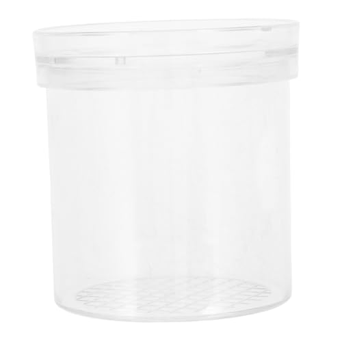 SOLUSTRE Box Kit Viewer Collector Cricket Cage Vergrößerungsglas Kunststoff Transparent SOLUSTRE Box Kit Viewer Collector Cricket Cage Vergrößerungsglas Kunststoff Transparent von SOLUSTRE