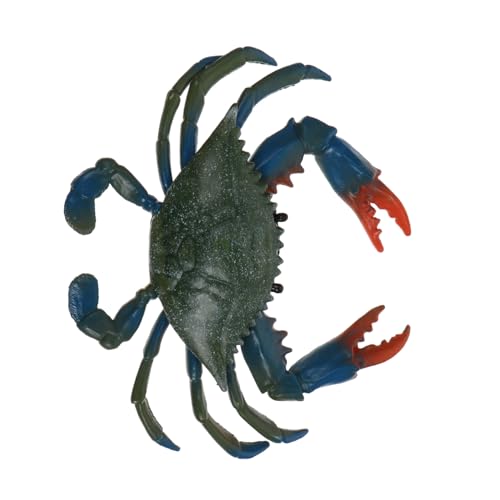 SOLUSTRE Plastik Krabbenmodell Meerestier Figur Realistisch Aquarium Dekoration Desktop Deko Lernspielzeug für von SOLUSTRE