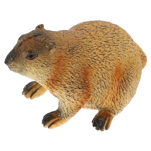 SOLUSTRE Realistische Murmeltierskulptur aus Robustem Material Leichtes Sicheres Wildtier Modell für Tiererkennung und Dekoration Pädagogisches für Heimgebrauch SOLUSTRE Realistische Murmeltierskulptur aus Robustem Material Leichtes Sicheres Wildtier Modell für Tiererkennung und Dekoration Pädagogisches für Heimgebrauch von SOLUSTRE