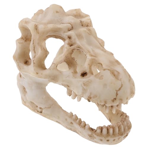 SOLUSTRE Reptilien-dinosaurier-schädelmodell Aus Harz Falsche Knochen Dinosauriermaske Stütze Figur Dinosaurierkostüm Halloween-spinne Skelett Kran Käfig Wunderlich Netz Geist Kiefer von SOLUSTRE