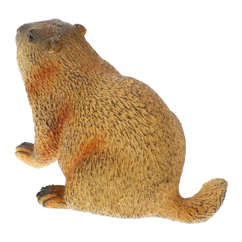 SOLUSTRE Simulation Groundhog Figur Realistische Tierfigur für Kognitive Spielzeuge Kinderzimmer und Dekoration Lebendige Gestaltung und Lehrreicher Spaß SOLUSTRE Simulation Groundhog Figur Realistische Tierfigur für Kognitive Spielzeuge Kinderzimmer und Dekoration Lebendige Gestaltung und Lehrreicher Spaß von SOLUSTRE
