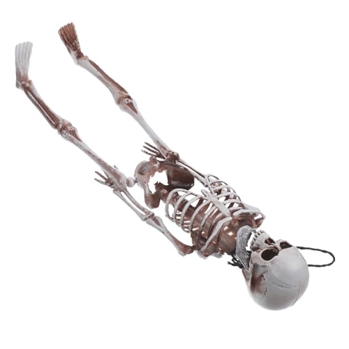 SOLUSTRE Skelett Mann Modell Kostüme für Erwachsene Dekorationen tot Halloween-Skelett Hai halloween dekoration halloween-dekoration menschliches Skelett kleines Skelettmodell Plastik Weiß von SOLUSTRE