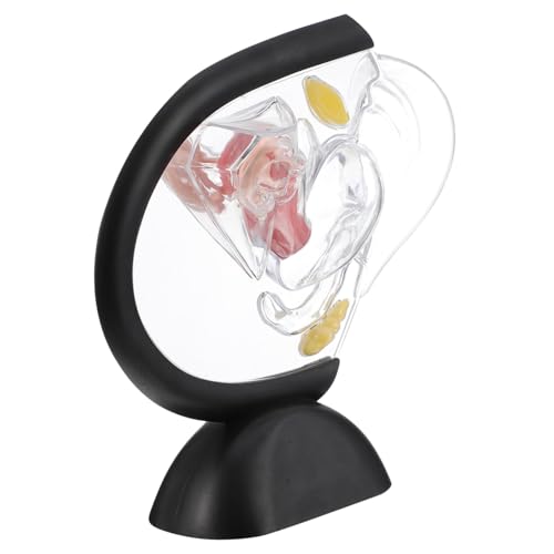 Transparentes Uterus-Modell interaktiv Körper Skelettmodell Gebärmutter- jr Gebärmuttermodell Transparentes Uterusmodell werkzeug Lehrmittel Frauenorganstrukturmodell PVC SOLUSTRE Transparentes Uterus-Modell interaktiv Körper Skelettmodell Gebärmutter- jr Gebärmuttermodell Transparentes Uterusmodell werkzeug Lehrmittel Frauenorganstrukturmodell PVC SOLUSTRE von SOLUSTRE