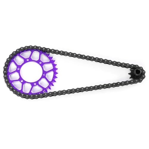 SONHWNGE RC for LOSI 1/4 for Promoto-MX Motorrad Stahl 10T Vorderrad + 36T Hinterrad + 70-Abschnitt Kettenradsatz Upgrade Teile Zubehör(Purple) von SONHWNGE