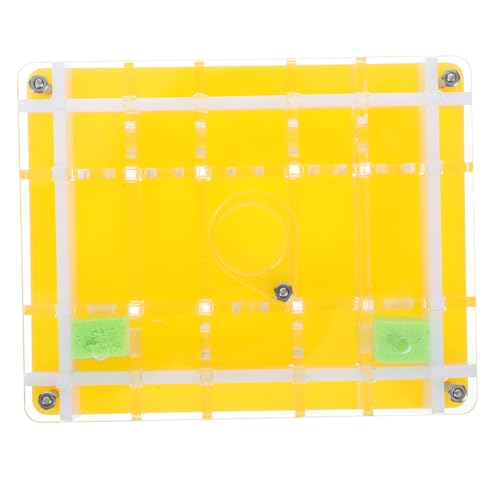 SOPOTUTU 1 Satz Acryl Ameisenhaltung Box Transparentes für Einfach zu Reinigen Beobachtungsset Fördert über Ameisenhaltung und Umgebung SOPOTUTU 1 Satz Acryl Ameisenhaltung Box Transparentes für Einfach zu Reinigen Beobachtungsset Fördert über Ameisenhaltung und Umgebung von SOPOTUTU