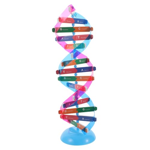 SOPOTUTU 1 Satz DNA- DNA-Modell Molekularbiologie Modell unterrichtsmaterial DNA Baukasten Bildungsspielzeug Selbstmontage Ausbildung doppelt Gen Modell der DNA-Doppelhelixstruktur Eva von SOPOTUTU