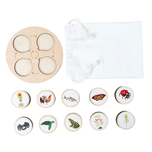SOPOTUTU 1 Satz Lebenszyklus Puzzle für Biologische Tiermodelle mit Lernbrett Edukatives Kreativität und Vorstellungskraft für zu Weihnachten und Geburtstagen von SOPOTUTU