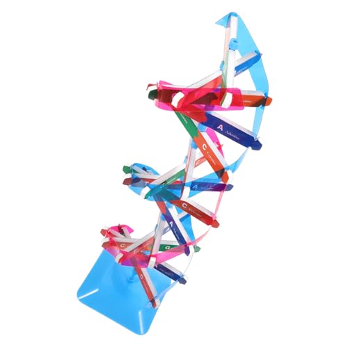 SOPOTUTU 1Satz DNA Doppelhelix Modell Pädagogisches Wissenschaftsmodell Für Unterricht DIY Komponenten Zur Erkundung Der Lernspielzeug SOPOTUTU 1Satz DNA Doppelhelix Modell Pädagogisches Wissenschaftsmodell Für Unterricht DIY Komponenten Zur Erkundung Der Lernspielzeug von SOPOTUTU