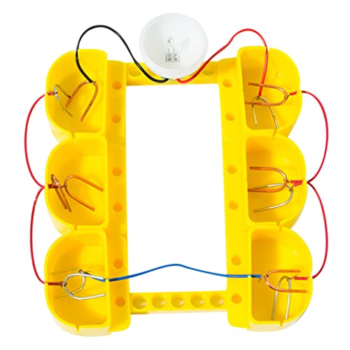 SOPOTUTU 1Satz Fruchtgenerator Experimentier Für Physikspielzeug Kreativität Und Praktischen Fähigkeiten Für Schulprojekte Und Wissenschaftliche Entdeckungen von SOPOTUTU