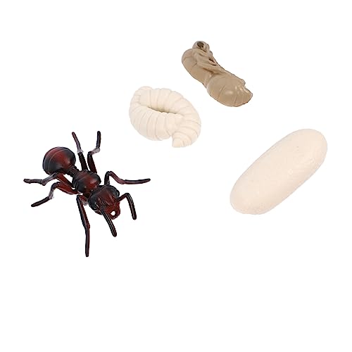 SOPOTUTU 1Satz Kreatives Teiliges Ausstellungsmodell Nachahmung Rotameise Evolutionsspielzeug Für Lehrreiches Kognitives Fantasie Der Naturwissenschaft von SOPOTUTU
