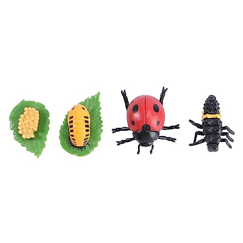 SOPOTUTU 1Satz Kreatives Tierentwicklungsmodell Teiliges Insektenmodell Für Bildung Rollenspiele Und Heimdekoration Und Biene Für Lehrmittel von SOPOTUTU
