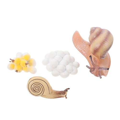 SOPOTUTU 1Satz Künstliches Schneckenwachstumsmodell Pädagogisches Für Dekorationsfigur Für Zuhause Und Garten Sicheres Und Langlebiges Material Zur Kognitiver Fähigkeiten von SOPOTUTU