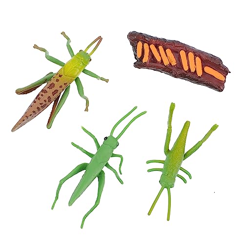 SOPOTUTU 1Satz Simulation Wachstumszyklusmodelle Interaktive Insekten Lebenszyklus Spielzeuge für Fördert Lernen und Naturverständnis für Garten Dekoration SOPOTUTU 1Satz Simulation Wachstumszyklusmodelle Interaktive Insekten Lebenszyklus Spielzeuge für Fördert Lernen und Naturverständnis für Garten Dekoration von SOPOTUTU