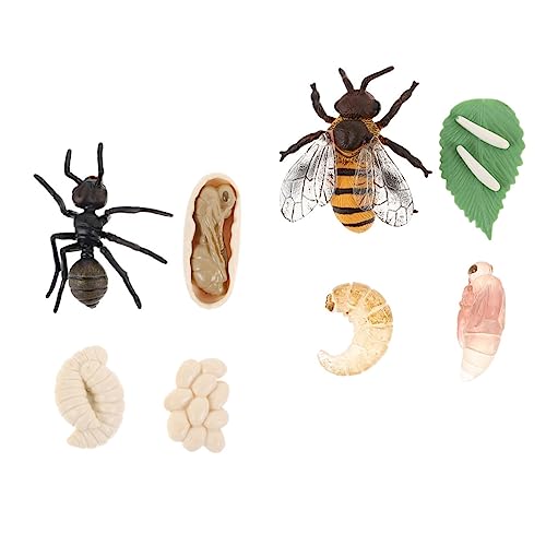 SOPOTUTU 2 Sätze Lernspielzeug Lebenszyklus Insekten Modelle Bienen und Ameisen Wachstumszyklus Sets für Pädagogisch Robust und Geruchlos von SOPOTUTU