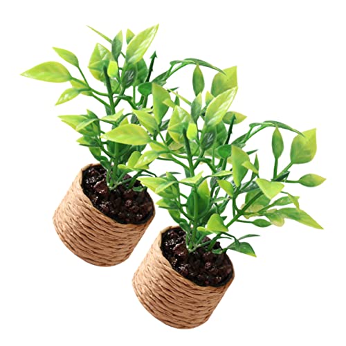SOPOTUTU 2 Stück Mini Orangenbaum Künstliche Topfpflanzen Blumentopf Dekoration Kleiner Blumentopf Topfspielzeug Künstliche Pflanzen Kleine Winzige Miniatur Dinge Kleine SOPOTUTU 2 Stück Mini Orangenbaum Künstliche Topfpflanzen Blumentopf Dekoration Kleiner Blumentopf Topfspielzeug Künstliche Pflanzen Kleine Winzige Miniatur Dinge Kleine von SOPOTUTU