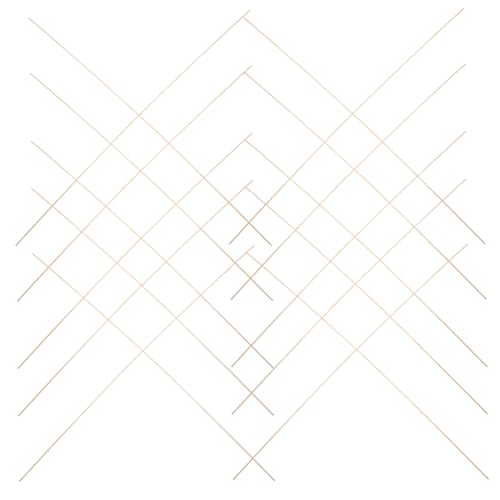 SOPOTUTU 20 Stück Bambus Drachenstäbe Lange Dünne Bastelstäbe für DIY Drachenbau und Reparatur Stabiler Rahmen für Outdoor Spaß und Familienaktivitäten SOPOTUTU 20 Stück Bambus Drachenstäbe Lange Dünne Bastelstäbe für DIY Drachenbau und Reparatur Stabiler Rahmen für Outdoor Spaß und Familienaktivitäten von SOPOTUTU