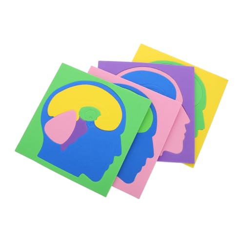 SOPOTUTU 4 Stück Gehirnrätsel für Puzzlespiel für kleine Rätsel für Erwachsene Lernspielzeug für menschliche Gehirnteile Gehirnstruktur-Puzzle Montessori Lernspielzeug Eva SOPOTUTU 4 Stück Gehirnrätsel für Puzzlespiel für kleine Rätsel für Erwachsene Lernspielzeug für menschliche Gehirnteile Gehirnstruktur-Puzzle Montessori Lernspielzeug Eva von SOPOTUTU