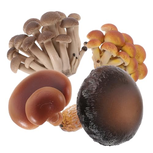 SOPOTUTU 4 Stück Teiliges Pilzwachstumszyklus Spielset aus Sicherem PVC Interaktives Lernspielzeug für Kleinkinder Realistische Pilzmodelle zur Biologischen Früherziehung und Kognitiven SOPOTUTU 4 Stück Teiliges Pilzwachstumszyklus Spielset aus Sicherem PVC Interaktives Lernspielzeug für Kleinkinder Realistische Pilzmodelle zur Biologischen Früherziehung und Kognitiven von SOPOTUTU