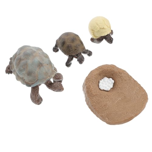 SOPOTUTU 4 Stück Teiliges Schildkröten Wachstumszyklus Modell Realistische Tierfiguren aus Robustem PVC Bunte Dekoration und Lernspielzeug Leicht Kompakt Pädagogisches Zufällige Farbe von SOPOTUTU