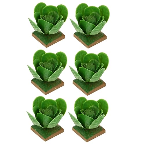 SOPOTUTU 6 Stück Teiliges Realistische Kohlmodelle für Kreative Imitation von Gemüse Pädagogisches für Fantasie und Kaufladen Leichte Dekoration für Küche und Kinderzimmer SOPOTUTU 6 Stück Teiliges Realistische Kohlmodelle für Kreative Imitation von Gemüse Pädagogisches für Fantasie und Kaufladen Leichte Dekoration für Küche und Kinderzimmer von SOPOTUTU