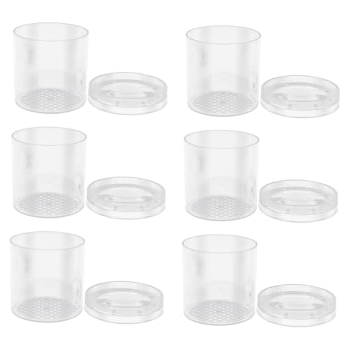 SOPOTUTU 6stücke Becherlupen Für Transparentes Insekten Beobachtungsset Mit Vergrößerungsglas Für Naturerkundung Robuste Und Wiederverwendbare Sammelbox Für Kleine Objekte SOPOTUTU 6stücke Becherlupen Für Transparentes Insekten Beobachtungsset Mit Vergrößerungsglas Für Naturerkundung Robuste Und Wiederverwendbare Sammelbox Für Kleine Objekte von SOPOTUTU