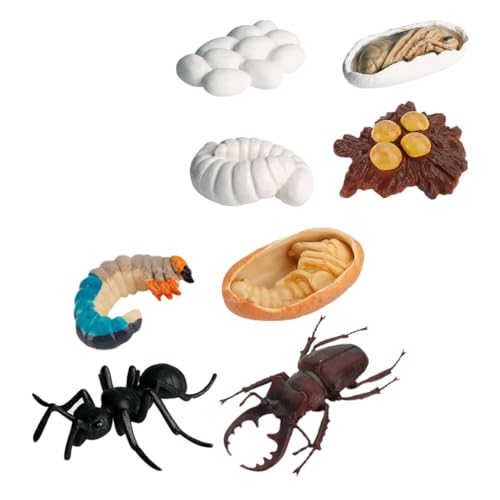 SOPOTUTU 8 Stück Teiliges Edukatives Ameisen lebenszyklusmodell Lernspielzeug Realistische Wachstum Figurine PVC Material Naturnahe Dekoration Kinderzimmer Lernhilfe von SOPOTUTU