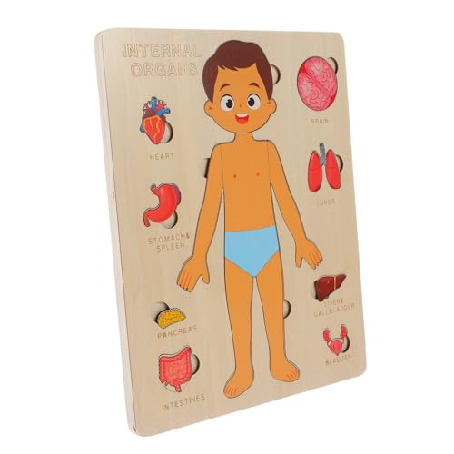 SOPOTUTU Holzpuzzle Menschlicher Körper Organe Lernspielzeug Montessori Kognitives für Jungen und Mädchen Abnehmbare Teile Pädagogisches Puzzle SOPOTUTU Holzpuzzle Menschlicher Körper Organe Lernspielzeug Montessori Kognitives für Jungen und Mädchen Abnehmbare Teile Pädagogisches Puzzle von SOPOTUTU