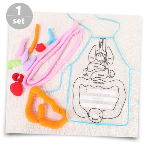 SOPOTUTU Lernschürze Organe Lernspielzeug Transparent Pädagogisches für Kindergarten Eltern Junge Mädchen Spiel von SOPOTUTU